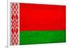 Belarus Flag Design with Wood Patterning - Flags of the World Series-Philippe Hugonnard-Framed Art Print