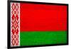 Belarus Flag Design with Wood Patterning - Flags of the World Series-Philippe Hugonnard-Framed Art Print
