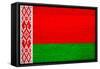 Belarus Flag Design with Wood Patterning - Flags of the World Series-Philippe Hugonnard-Framed Stretched Canvas