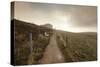 Belchen Mountain, Black Forest, Baden Wurttemberg, Germany, Europe-Markus-Stretched Canvas