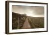 Belchen Mountain, Black Forest, Baden Wurttemberg, Germany, Europe-Markus-Framed Photographic Print