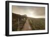 Belchen Mountain, Black Forest, Baden Wurttemberg, Germany, Europe-Markus-Framed Photographic Print