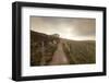 Belchen Mountain, Black Forest, Baden Wurttemberg, Germany, Europe-Markus-Framed Photographic Print