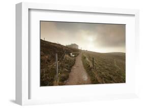 Belchen Mountain, Black Forest, Baden Wurttemberg, Germany, Europe-Markus-Framed Photographic Print