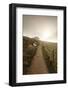 Belchen Mountain, Black Forest, Baden Wurttemberg, Germany, Europe-Markus-Framed Photographic Print