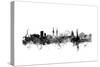 Belfast Northern Ireland Skyline-Michael Tompsett-Stretched Canvas