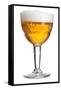 Belgian Beer-Fabio Petroni-Framed Stretched Canvas