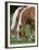 Belgian Draft Horses Jim, Right, and Jake Graze-null-Framed Premium Photographic Print