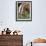 Belgian Draft Horses Jim, Right, and Jake Graze-null-Framed Photographic Print displayed on a wall