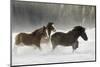 Belgian Horse roundup in winter, Kalispell, Montana.-Adam Jones-Mounted Photographic Print