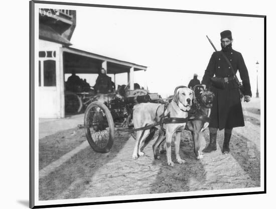 Belgian Machine Guns Pulled by Dogs, 1914-Jacques Moreau-Mounted Photographic Print