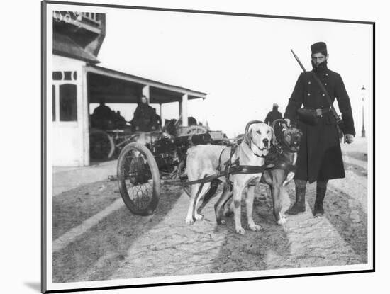 Belgian Machine Guns Pulled by Dogs, 1914-Jacques Moreau-Mounted Photographic Print