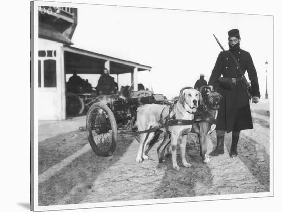 Belgian Machine Guns Pulled by Dogs, 1914-Jacques Moreau-Stretched Canvas