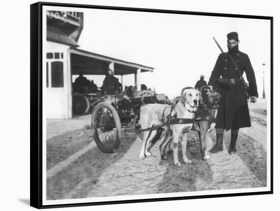 Belgian Machine Guns Pulled by Dogs, 1914-Jacques Moreau-Framed Stretched Canvas