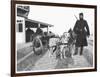 Belgian Machine Guns Pulled by Dogs, 1914-Jacques Moreau-Framed Photographic Print