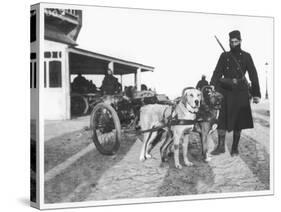 Belgian Machine Guns Pulled by Dogs, 1914-Jacques Moreau-Stretched Canvas