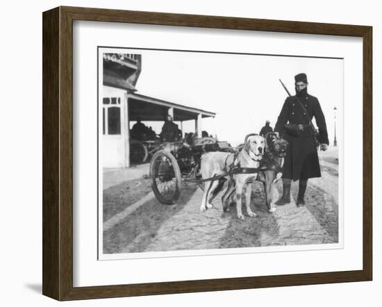 Belgian Machine Guns Pulled by Dogs, 1914-Jacques Moreau-Framed Premium Photographic Print