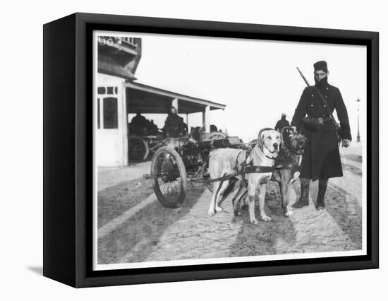 Belgian Machine Guns Pulled by Dogs, 1914-Jacques Moreau-Framed Stretched Canvas