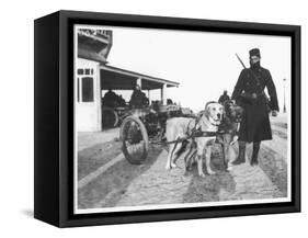 Belgian Machine Guns Pulled by Dogs, 1914-Jacques Moreau-Framed Stretched Canvas
