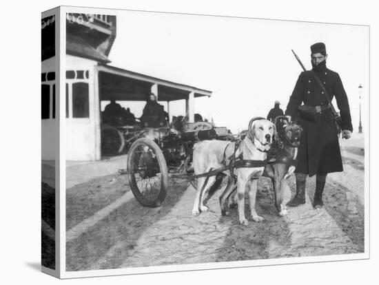 Belgian Machine Guns Pulled by Dogs, 1914-Jacques Moreau-Stretched Canvas