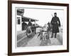 Belgian Machine Guns Pulled by Dogs, 1914-Jacques Moreau-Framed Photographic Print