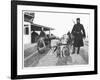 Belgian Machine Guns Pulled by Dogs, 1914-Jacques Moreau-Framed Photographic Print