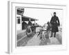 Belgian Machine Guns Pulled by Dogs, 1914-Jacques Moreau-Framed Photographic Print