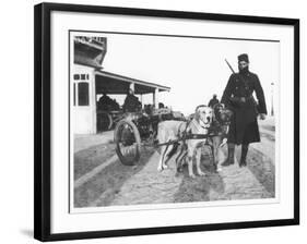 Belgian Machine Guns Pulled by Dogs, 1914-Jacques Moreau-Framed Photographic Print