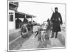 Belgian Machine Guns Pulled by Dogs, 1914-Jacques Moreau-Mounted Photographic Print