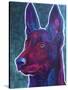 Belgian Malinois Burgundy-Dawgart-Stretched Canvas