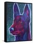 Belgian Malinois Burgundy-Dawgart-Framed Stretched Canvas