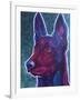 Belgian Malinois Burgundy-Dawgart-Framed Giclee Print