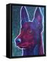 Belgian Malinois Burgundy-Dawgart-Framed Stretched Canvas