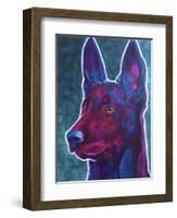 Belgian Malinois Burgundy-Dawgart-Framed Giclee Print