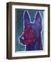 Belgian Malinois Burgundy-Dawgart-Framed Giclee Print