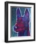 Belgian Malinois Burgundy-Dawgart-Framed Giclee Print