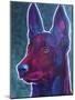 Belgian Malinois Burgundy-Dawgart-Mounted Giclee Print