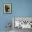 Belgian Malinois / Shepherd Dog Profile Portrait-Adriano Bacchella-Framed Photographic Print displayed on a wall