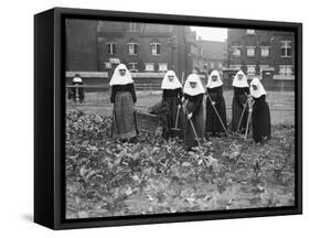 Belgian Nuns Gardening-null-Framed Stretched Canvas