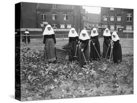 Belgian Nuns Gardening-null-Stretched Canvas