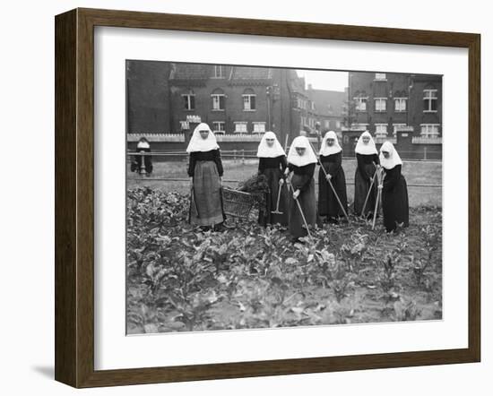 Belgian Nuns Gardening-null-Framed Photographic Print