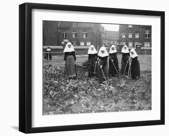 Belgian Nuns Gardening-null-Framed Photographic Print