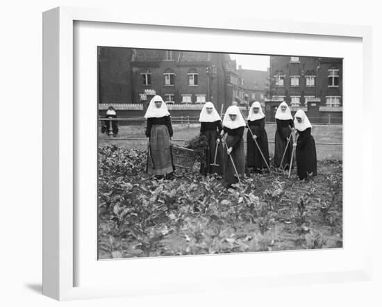 Belgian Nuns Gardening-null-Framed Photographic Print