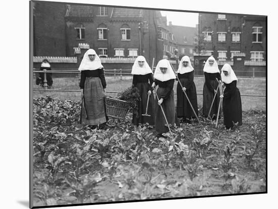 Belgian Nuns Gardening-null-Mounted Photographic Print