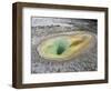 Belgian Pool, in the Norris Geyser Basin area, Yellowstone National Park-Michael Nolan-Framed Photographic Print