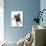Belgian Shepherd Dog Puppy, Antar, 10 Weeks, Lying with Head Raised-Mark Taylor-Photographic Print displayed on a wall