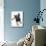 Belgian Shepherd Dog Puppy, Antar, 10 Weeks, Lying with Head Raised-Mark Taylor-Mounted Photographic Print displayed on a wall