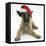 Belgian Shepherd Dog Puppy, Antar, 10 Weeks, Wearing a Father Christmas Hat-Mark Taylor-Framed Stretched Canvas