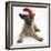 Belgian Shepherd Dog Puppy, Antar, 10 Weeks, Wearing a Father Christmas Hat-Mark Taylor-Framed Photographic Print