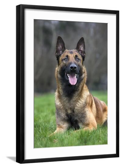 Photographic Print, , large